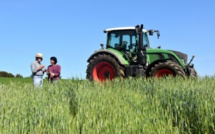 Horrible fin de deux femmes migrantes: Endormies dans un champ, elles meurent écrasées par un tracteur
