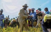 Macky Sall sur l’autosuffisance alimentaire: «Nous avons les moyens d’atteindre cet objectif»