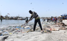 Hann / Gestion des déchets solides sur la plage: Une brigade de la propreté créée