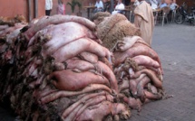Vente de peaux de moutons après la Tabaski à Dakar :  Zoom sur un business qui s’est transformé