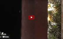 A 7 ans, il maîtrise le Coran: Voici l'histoire de Babacar Diagne