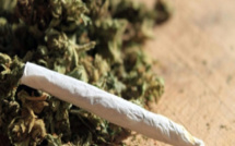 L’artiste A. D. arrêté pour trafic de drogue : il détenait 1 kilo et 10 cornets de chanvre indien