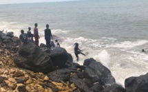 Rufisque: Une baleine blessée s'échoue sur la plage et...