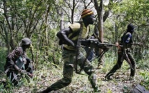 Large analyse du LASPAD : un dictionnaire sur le conflit et la paix en Casamance en vue