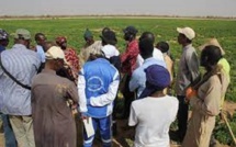 Amélioration des conditions de vie des populations: Le Waqf joue sa partition à Dabia dans le Matam