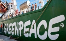 Usine de fabrication de farine de poisson à Sandiara et à Cayar: Greenpeace Afrique devrait informer juste et vrai…( Kadialy Gassama),