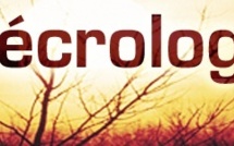 Nécrologie: Me Mame Bassine Niang tire sa révérence !