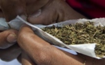 Mass Dia tombe avec 111 cornets de drogue