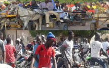 Transport à Touba durant le Magal: Les charretiers et conducteurs de Jakarta se sont frottés les mains