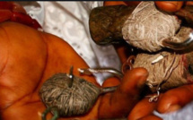 Il lui donne 1,7 million pour envoûter sa copine, le charlatan disparaît avec l’argent