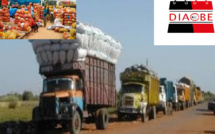 Le Dg de la Sodagri salue la réouverture des frontières Sénégal-Guinée  «C’est une grande bouffée d’oxygène pour Diaobé »