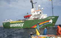 Pillage des eaux en Afrique de l'Ouest: Greenpeace intercepte un navire-citerne transportant de l'huile de poisson