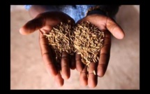 (Vidéo) Pour appeler les chefs d’Etats à respecter leur promesse, Baaba Maal, Daara J Family, 2Face Idibia font un nouveau single.