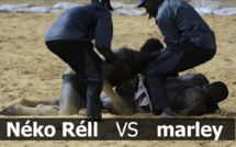Grand combat: Neko Rëll, éprouvé physiquement, se fait laminer par Marley