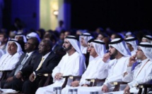 Investissements des Émirats Arabes Unis en Afrique: Une nouvelle ère de coopération en cours