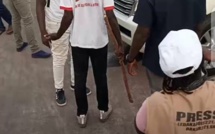 Attaques à l'Aéroport de Ziguinchor: "DGS" dénonce la violence et la victimisation de Pastef 