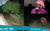 Richard-Toll: Pour soulager les cultivatrices, sauvez seulement "ndombo naana" et le tour est joué!