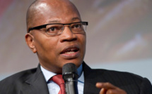 CEDEAO-Guinée: Le casting raté de Nana Addo Dankwa AKUFO-ADDO sur la nomination inopportune du diplomate Mohamed Ibn Chambas pour aider la transition militaire. EXCLUSIF