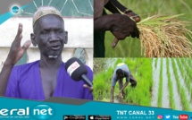 Dolol Soubalo: Dans ce village dédié au riz, on ne "rit" plus à cause de la précarité