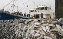 Pêche Inn dans les pays membres de la Csrp: Les pertes estimées à 1,9 milliard d’euros par an