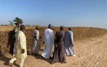 PHOTOS+VIDEO: Travaux champêtres accomplis à la satisfaction de Serigne Cheikh Saliou Mbacké