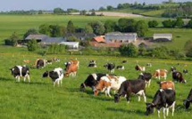 Utilisation abusive des antibiotiques: Près de 40 000 kg utilisés dans le secteur de l’élevage en 2021