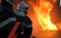 Le feu ravage une parcelle du Ranch de Dolly