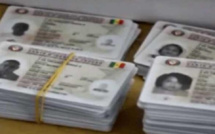 Distribution des cartes d’électeur à Kolda: Un taux de retrait très faible, de 39%, à quelques jours du vote