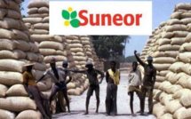 AGRO-INDUSTRIE : Qui a un plan pour sauver le sénégalais Suneor ?