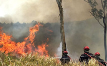 Matam / Dans la zone sylvo-pastorale, un feu de brousse avait vidé les bureaux de vote