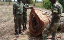 Accrochage en Gambie / 9 militaires sénégalais portés disparus: L’armée suspecte le MFDC