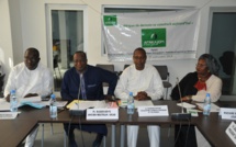 Appel à la Paix : Le cri du cœur des Organisations de la Société Civile du Sénégal, de la Gambie et de la Guinée-Bissau