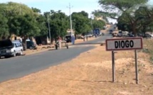 Peur et inquiétudes à Diogo, après la découverte d’une tourbière