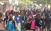 Crise scolaire: Les doléances du collectif des gouvernements scolaires du Sénégal