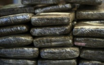 Pikine Tally Bou Bess: Un commerçant guinéen arrêté avec 250 kg de chanvre indien