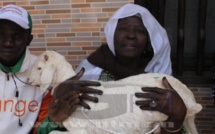 Vidéo, sacrifice d'un mouton blanc chez Modou Lô