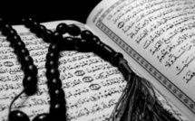 Halte au culte de l’ignorance (Par Momar Ibn Sidaty)