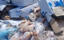 Thiès / Le poulet vendu dans des conditions d’hygiène lamentables : Le Service d’Hygiène lance une opération coup de poing