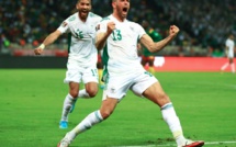 La FIFA va examiner le recours du match Algérie-Cameroun