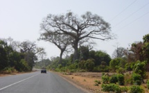 Fermeture de l’aéroport de Ziguinchor : Une sécurité maximale exigée sur l’axe Ziguinchor / Cap-Skirring