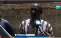 Tivaouane Peulh-Niaga/ Sans « Daaral » : Les éleveurs de moutons, disposés à ravitailler le marché communal, crient leur ras-le-bol