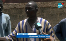 Tivaouane Peulh-Niaga sans « Daaral » : Les éleveurs de moutons crient leur ras-le-bol