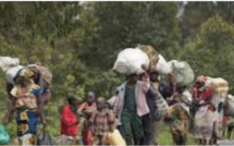Appui des populations en Casamance : Djirack, le temps d’un retour définitif