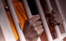 Un accusé condamné à 5 ans de prison ferme pour trafic et détention de chanvre