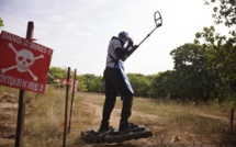 Volonté de déminage de la Casamance : Le Sénégal semble désarmé