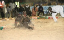 Vidéo: Le retour gagnant de Siteu sur Pape Mor Lô