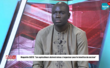 Hivernage 2022 : L'agriculture doit être une priorité pour l'Etat selon les acteurs du secteur
