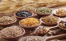 Situation alimentaire en Afrique de l’Ouest : Des stocks de céréales au plus bas