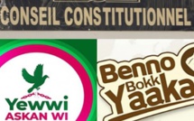 Listes : pourquoi les rejets de YAW et de BBY ont été actés par le Conseil constitutionnel