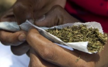 Détention et usage de drogue : Une restauratrice condamnée à 1 mois d’emprisonnement ferme